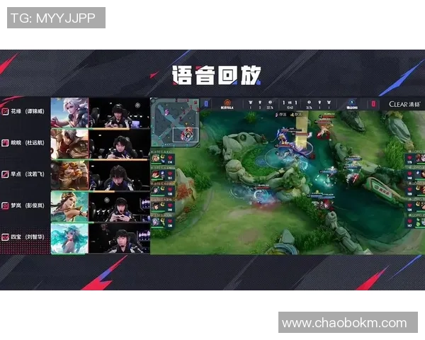 王者荣耀焦点：TES的节奏探讨